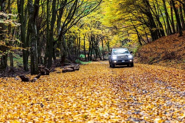 Macaristan Brzsny Dağ Sırası 12020 Toyota 4X4 Suv Sonbaharda Dağlarda — Stok fotoğraf