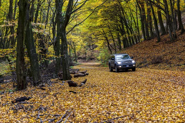 Hungría Cordillera Brzsny Nov 2020 Toyota 4Runner 4X4 Suv Carretera — Foto de Stock