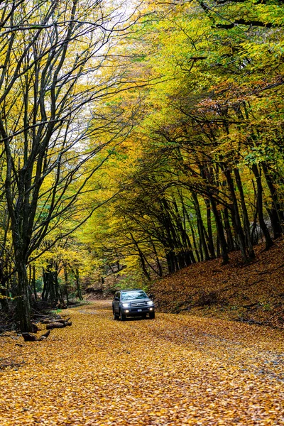 Ungheria Borzsony Mountain Range Novembre 2020 Toyota 4Runner 4X4 Suv — Foto Stock