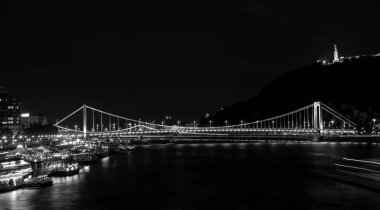 Modern Elisabeth Köprüsü, Budapeşte, Macaristan 'ın en yeni üçüncü köprüsü, Buda ve Pest' i Tuna Nehri 'nin karşısına bağlıyor..