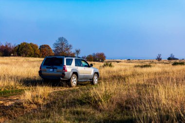 Macaristan Dağ Plato 13 Kasım 2020: Sonbaharda çimlerin üzerinde 4x4 'lük bir SUV turu. Macera seyahati. 