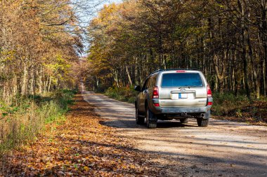 Macaristan Bakony Dağ Sırası 9 Kasım 2020: Toyota 4Runner SUV sonbaharda ormancılık pistleri ve av sahalarında turneye çıktı . 
