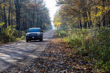 Macaristan Bakony Dağ Sırası 9 Kasım 2020: Toyota 4Runner SUV sonbaharda ormancılık pistleri ve av sahalarında turneye çıktı . 