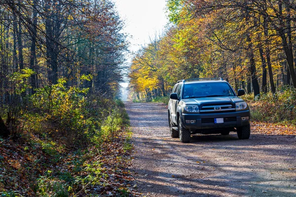 Macaristan Bakony Dağ Sırası Kasım 2020 Toyota 4Runner Suv Sonbaharda — Stok fotoğraf