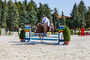 Macaristan Babolna 24 Ekim 2020: Yıllık At Atlama ve Binicilik Etkinliklerine katılan kimliği belirsiz yarışmacılar.