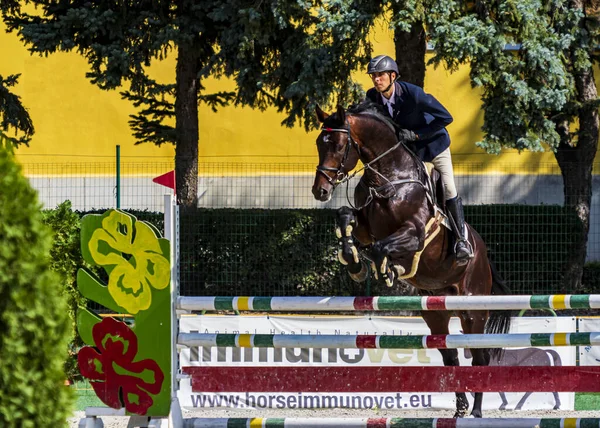 Hungary Babolna Oct 2020 Непізнані Конкуренти Беруть Участь Anual Horse — стокове фото