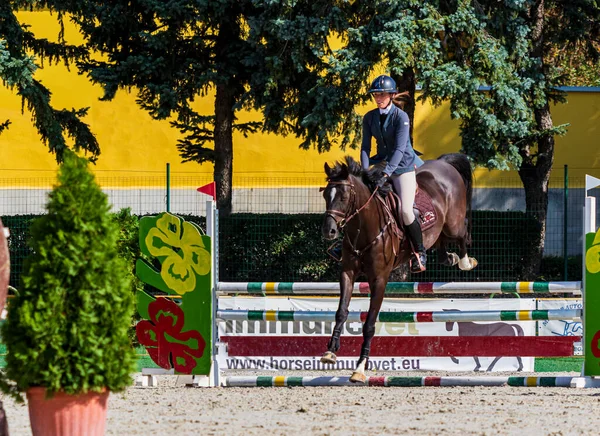 Ungern Babolna Okt 2020 Oidentifierade Konkurrenter Deltar Anual Horse Jumping — Stockfoto