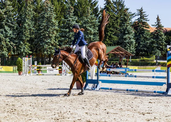 Hungary Babolna Oct 2020 Unidentified Competitors Participating Anual Horse Jumping — Stock Photo, Image