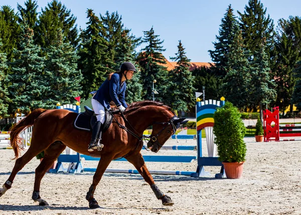 Hungary Babolna Oct 2020 Unidentified Competitors Participating Anual Horse Jumping — Stock Photo, Image