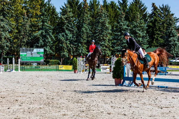 Maďarsko Babolna Října 2020 Neznámí Závodníci Anual Horse Jumping Jezdecké — Stock fotografie