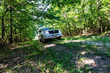 Macaristan Matra dağ sırası 6 Eylül 2020: Farklı dört teker çekişli araçlar orman yolunda off-road gezisinde. 