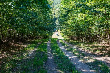Macaristan Matra dağ sırası 6 Eylül 2020: Farklı dört teker çekişli araçlar orman yolunda off-road gezisinde. 