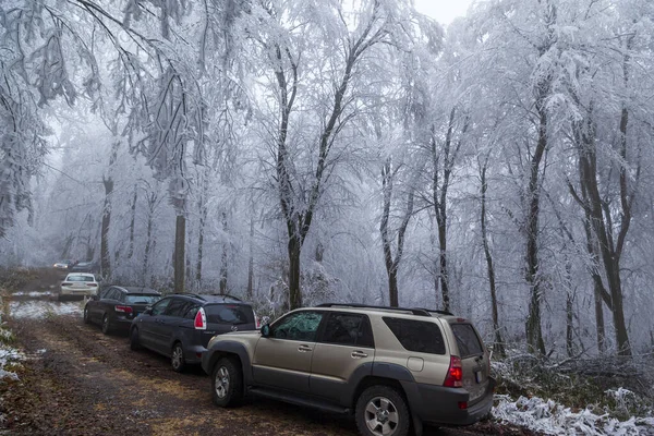 Zimowy Krajobraz Pokrytymi Śniegiem Drzewami Samochodami — Zdjęcie stockowe