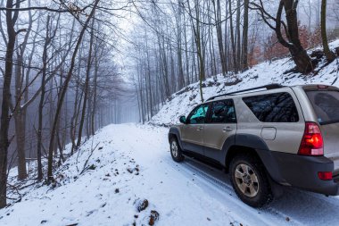 Kekes Macaristan 27 Aralık 2020: Toyota 4Runner adlı bir off-road aracı sisli kar kaplı ormanda.