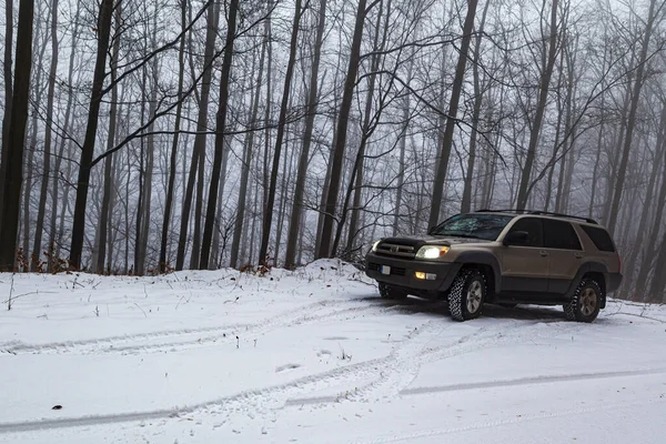 Kekes Hungary Diciembre 2020 Vehículo Todoterreno Toyota 4Runner Bosque Cubierto — Foto de Stock