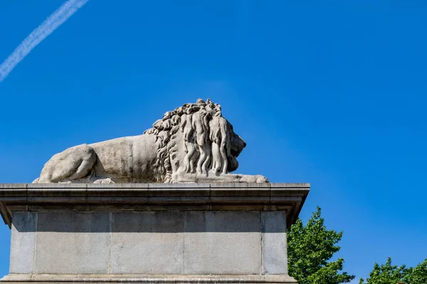 Escultura Leão Cidade — Fotografia de Stock