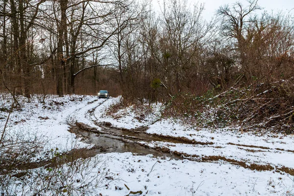 Gerencse Central Mountain Range Ungern Januari 2021 Guldfärg Lyx Suv — Stockfoto