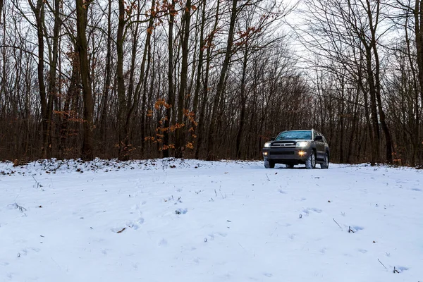 Gerencse Central Mountain Range Ungern Januari 2021 Guldfärg Lyx Suv — Stockfoto