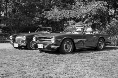 Victoria BC Canada 27 Ağustos 2017: Geleneksel Vancouver Adası Motor Toplantısı 'nda egzotik ithal otomobiller sergileniyor. 