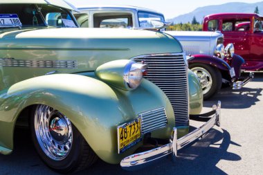 Lüks, antika ve spor otomobiller sergisi 