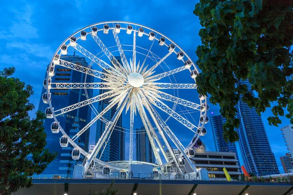 Surfers Paradise Feb Wheel Surfers Paradise Meter Tall Ferris Wheel — Stock Photo, Image