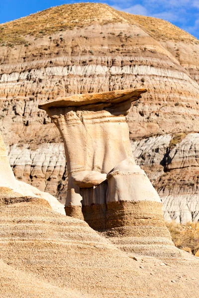 Drumheller Badlands Dinosaur Provincial Park Alberta Rich Deposits Fossils Dinosaur — Stock Photo, Image