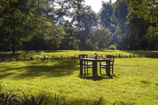 Sillas Sillas Vacías Terraza Del Jardín — Foto de Stock