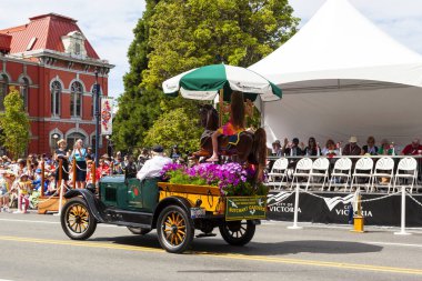 Victoria Canada - 22 Mayıs 17: Victoria 'nın en büyük geçit töreni ve Kanada ve ABD' den 100.000 'den fazla insan.
