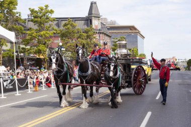 Victoria Canada - 22 Mayıs 17: Victoria 'nın en büyük geçit töreni ve Kanada ve ABD' den 100.000 'den fazla insan.