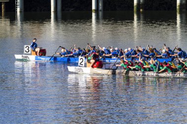 VICTORIA, CanADA - 20 AUG 17: Geleneksel Victoria Ejderha Tekne Festivali. Victoria 'nın en muhteşem yaz festivallerinden biri ve Kanada' da çalışan bir limanda gerçekleşen tek ejderha botu festivali..
