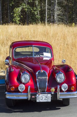 Lüks, antika ve spor otomobiller sergisi 