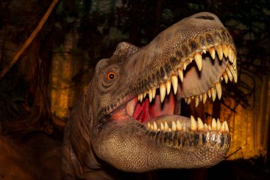 Büyük bir ağzıyla beyaz bir köpeğin yakın plan fotoğrafı.