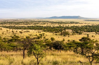 Arka plandaki ölü deniz vadisinin güzel manzarası.
