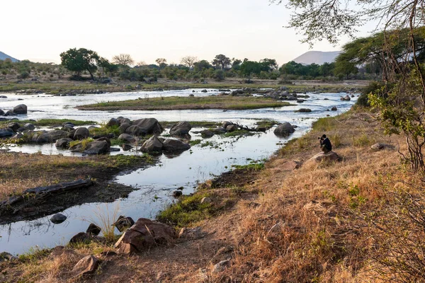 Herd Wild Animals River North State Israel — Stock Photo, Image