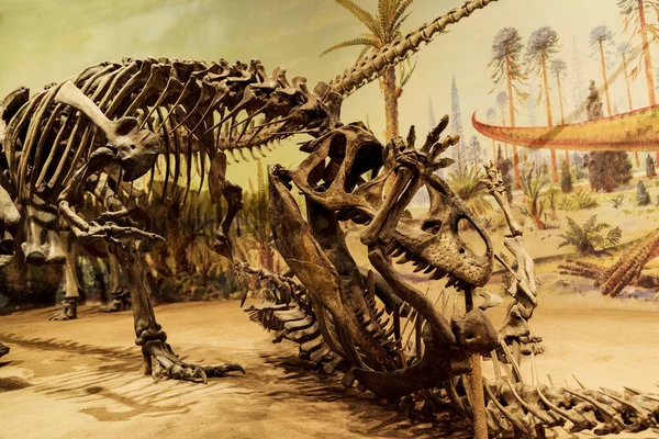 恐龙的3D渲染 — 图库照片