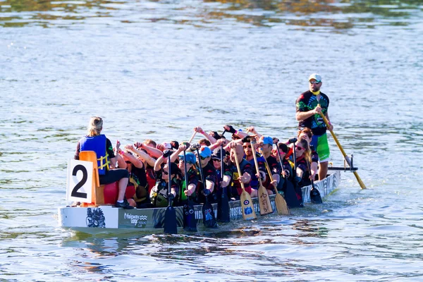 Victoria Canada Aug Den Årliga Victoria Dragon Boat Festival Victorias — Stockfoto