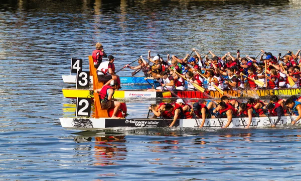 Victoria Canada Aug Den Årliga Victoria Dragon Boat Festival Victorias — Stockfoto