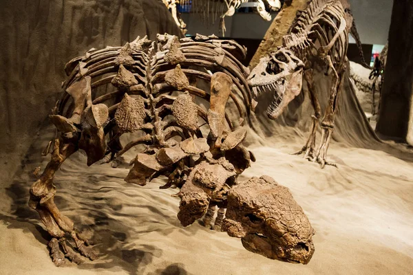 Drumheller Canada March 2016 Royal Tyrrell Museum Museum Famous Its — Foto de Stock