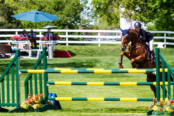 Calgary Canada June 2015 Unknown Rider Horse 2015 International Race — Stok fotoğraf