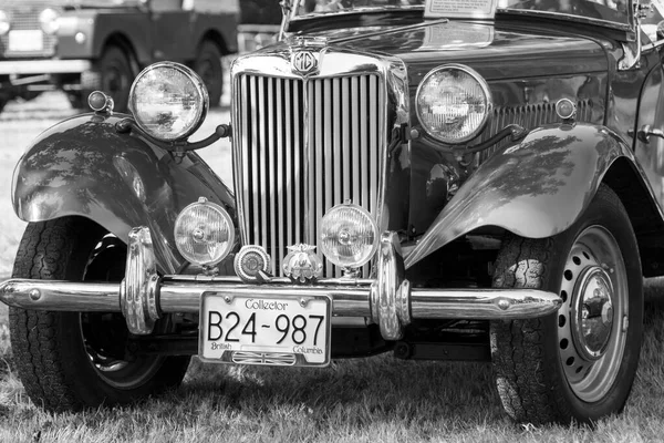 Victoria Canada Aug 2017 Exotic Import Motorcars Display Annual Vancouver — Stock Photo, Image