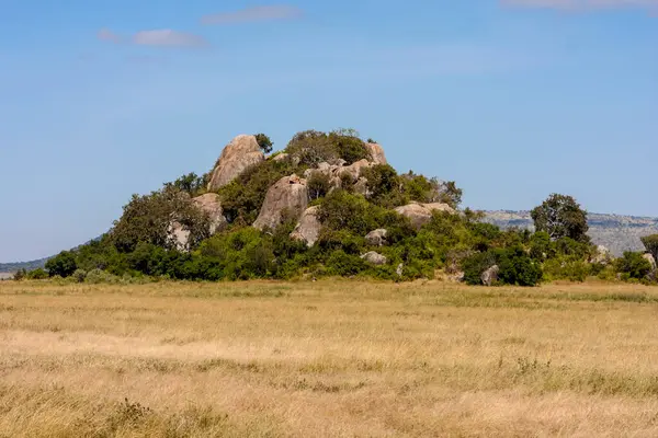 Bela Paisagem Com Uma Árvore Uma Grande Montanha — Fotografia de Stock