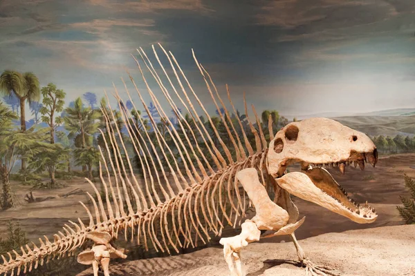 Drumheller Canada March 2016 Royal Tyrrell Museum Museum Famous Its — Stock Photo, Image