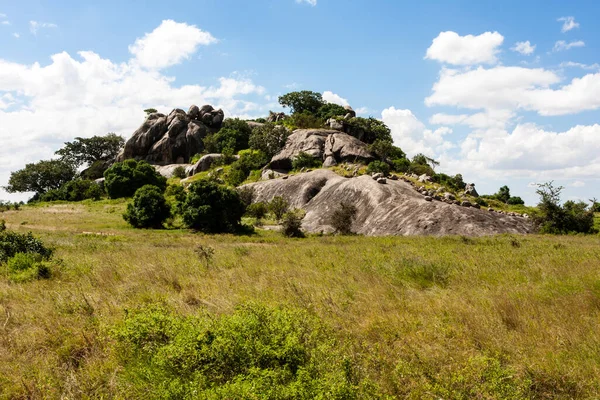 Bela Paisagem Com Uma Grande Árvore Fundo — Fotografia de Stock