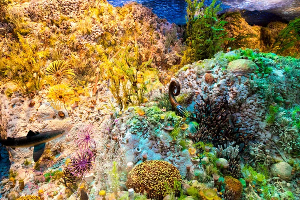 Karayipler Deki Güzel Tropikal Deniz — Stok fotoğraf