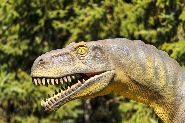 Primer Plano Una Iguana Verde Sobre Fondo Blanco — Foto de Stock