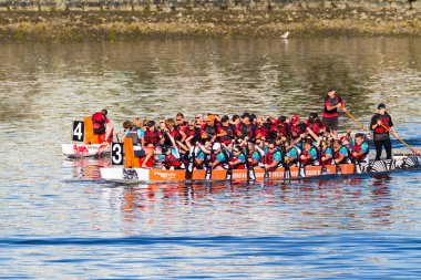 VICTORIA, CanADA - 20 AUG 17: Geleneksel Victoria Ejderha Tekne Festivali. Victoria 'nın en muhteşem yaz festivallerinden biri ve Kanada' da çalışan bir limanda gerçekleşen tek ejderha botu festivali..