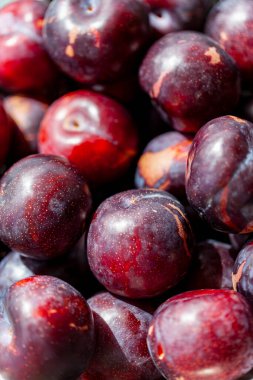 Beyaz arka planda taze erikler