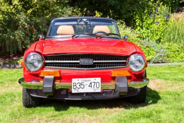 Victoria BC Canada 27 Ağustos 2017: Geleneksel Vancouver Adası Motor Toplantısı 'nda egzotik ithal otomobiller sergileniyor. 