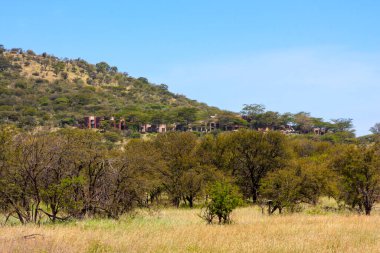 Ağacı ve dağı olan güzel bir manzara.
