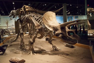 Drumheller, Canada - March 27, 2016: Royal Tyrrell Museum . The museum is famous for its palaeontology research and 130,000 fossils